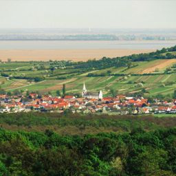 Luftaufnahme eines Dorfes mit roten Dächern, umgeben von grünen Feldern und Bäumen, mit einem entfernten Gewässer.