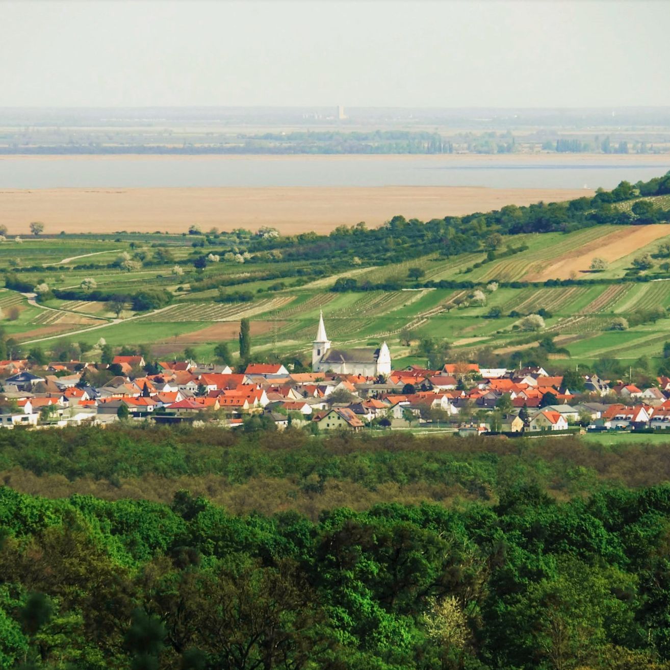 Luftaufnahme eines Dorfes mit roten Dächern und einer Kirche, umgeben von grünen Feldern und Bäumen. Der Horizont zeigt einen Fluss und eine entfernte Stadt.