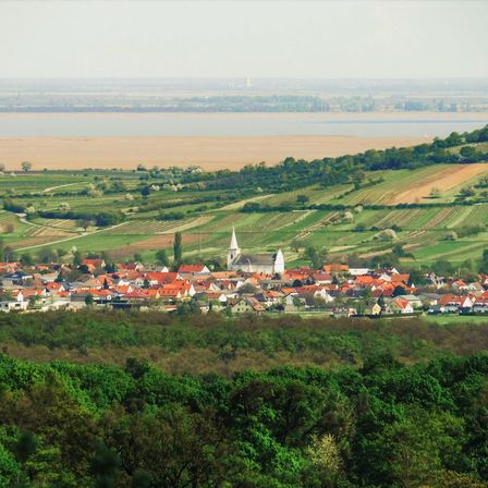 Luftaufnahme eines Dorfes mit roten Dächern und einer Kirche, umgeben von grünen Feldern und Bäumen. Der Horizont zeigt einen Fluss und eine entfernte Stadt.