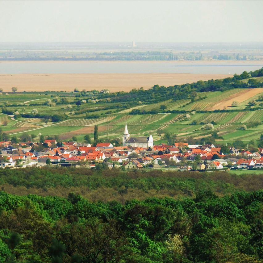 Luftaufnahme eines Dorfes mit roten Dächern und einer Kirche, umgeben von grünen Feldern und Bäumen. Der Horizont zeigt einen Fluss und eine entfernte Stadt.