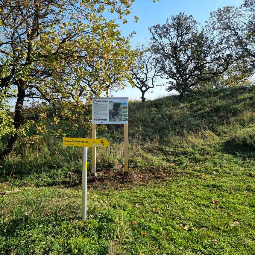 Bild enthält, Computer Hardware, Monitor, Screen, Tree, Field, Nature, Outdoors, Pasture, Vegetation, Grassland
