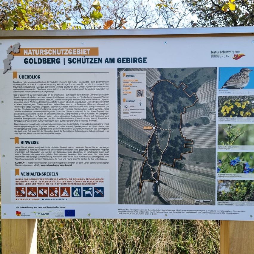 Bild enthält, Advertisement, Poster, Plant, Vegetation, Animal, Bird, Outdoors, Text