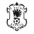 Sportverein BAUMIT Peggau-Logo
