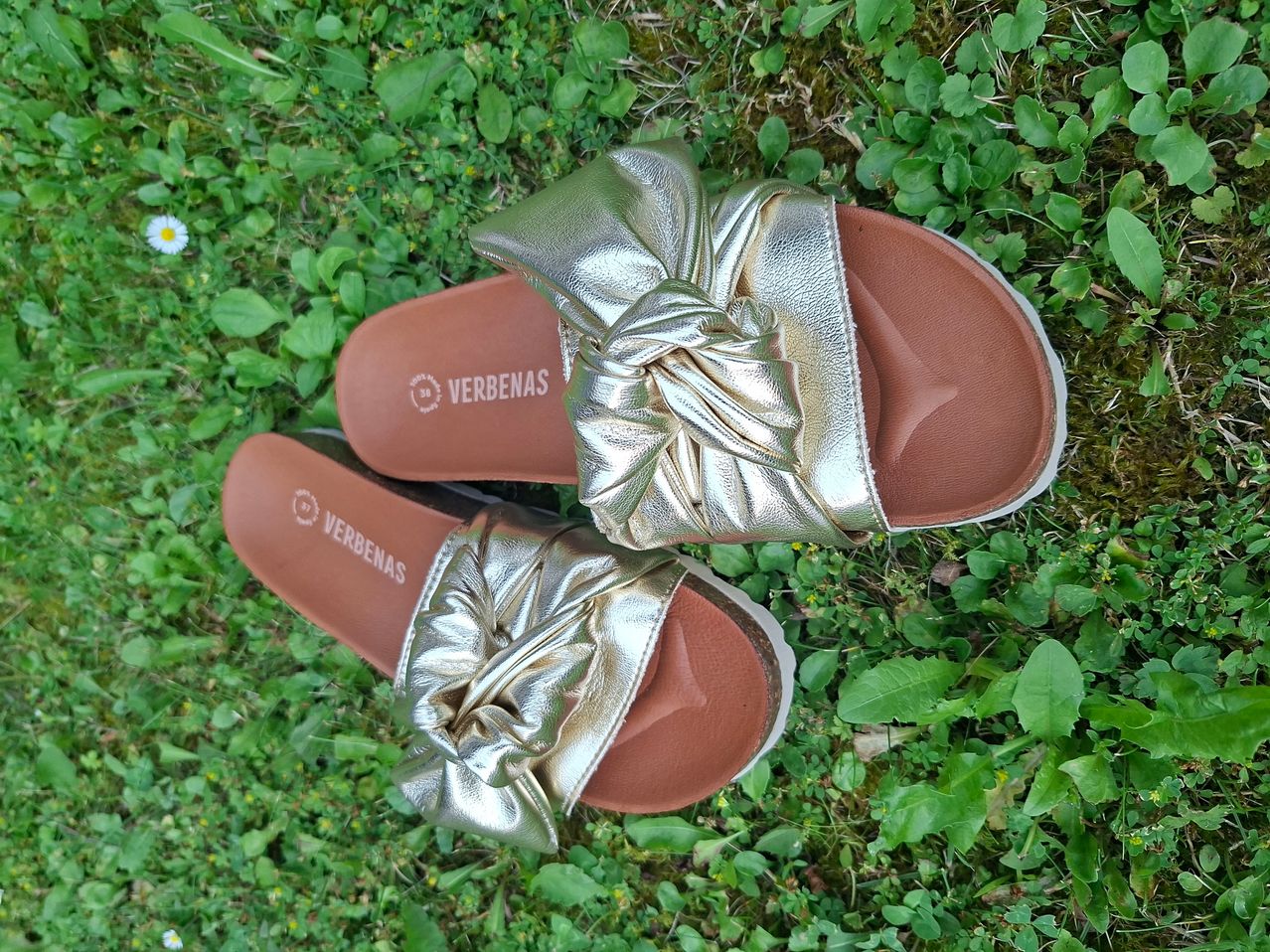 Ein Paar goldener Sandalen mit einer Schleifen-Dekoration auf einem Grasfeld mit kleinen Pflanzen.
