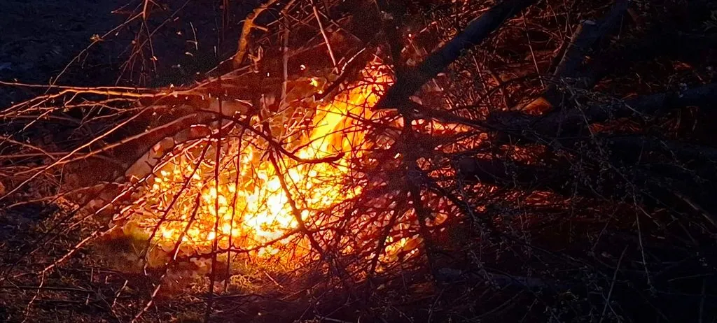 Ein Feuer brennt hell in der Dunkelheit, umgeben von trockenen Zweigen und Ästen, die das Gebiet erhellen.