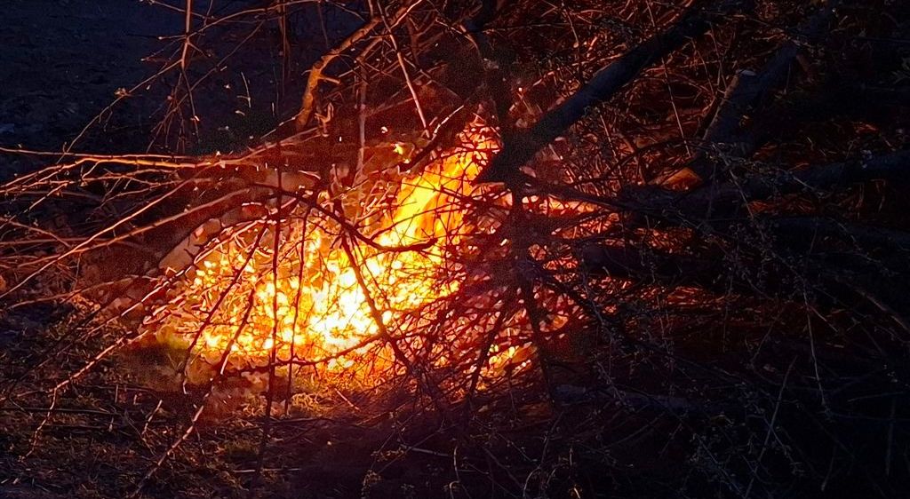 Ein Feuer brennt hell in der Dunkelheit, umgeben von trockenen Zweigen und Ästen, die das Gebiet erhellen.