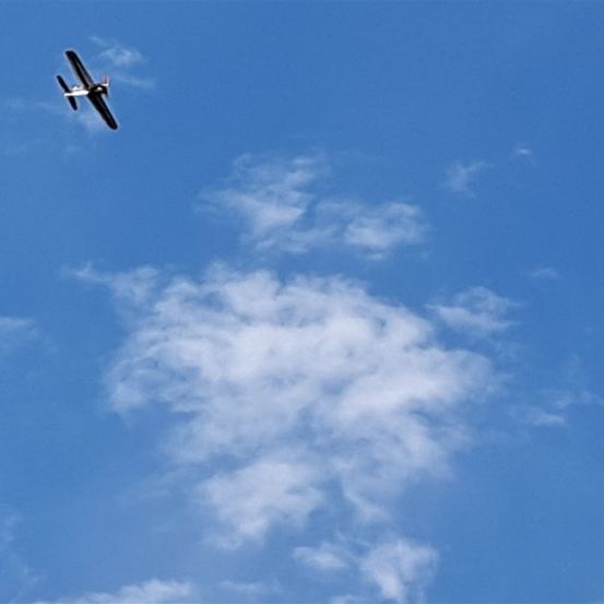 Bild enthält, Animal, Bird, Flying, Nature, Outdoors, Sky, Aircraft, Airplane, Vehicle, Flight