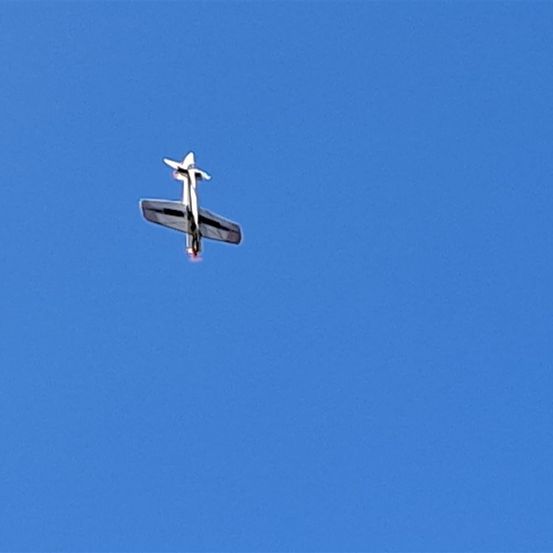 Bild enthält, Animal, Bird, Flying, Aircraft, Airplane, Vehicle, Airliner, Cross, Symbol, Flight