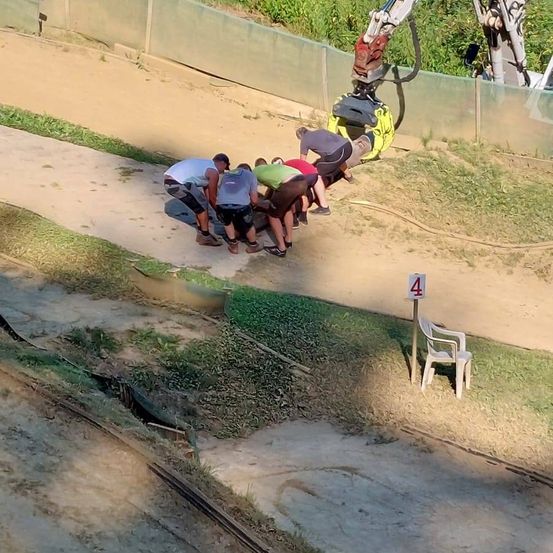 Bild enthält, Person, Crossbow, Weapon, Outdoors