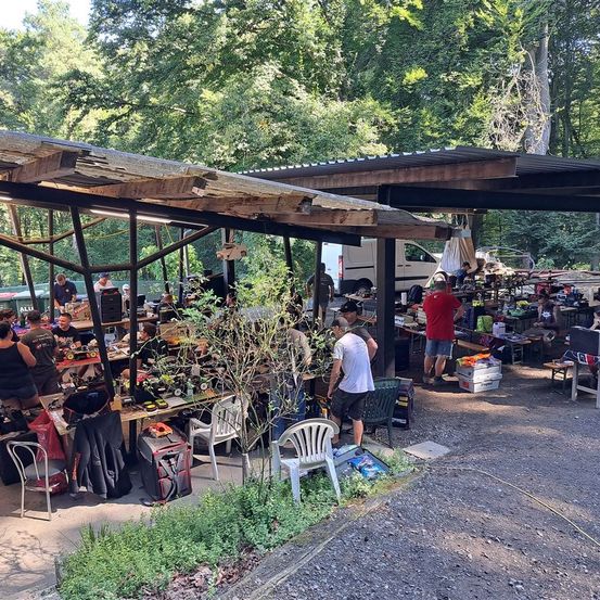 Bild enthält, Urban, Person, Tree, Night Life, Chair, Handbag, Outdoors, Shorts, Nature, Shoe