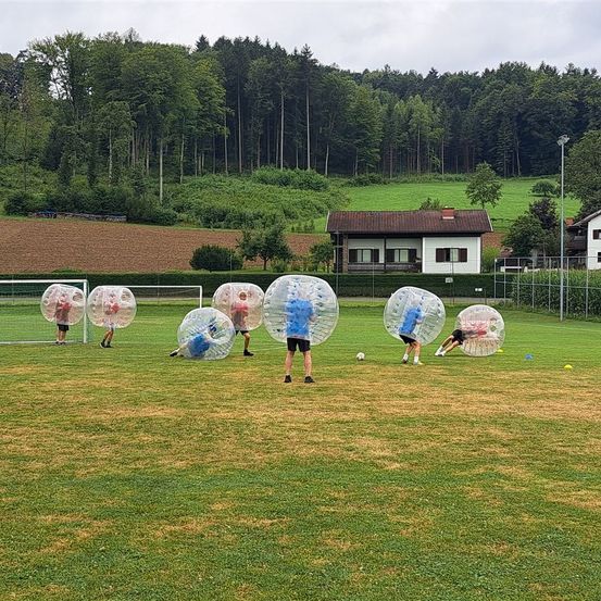 Bild enthält, Grass, Plant, Field, Soccer Ball, Sport, Person, Outdoors, Shoe, Nature, People