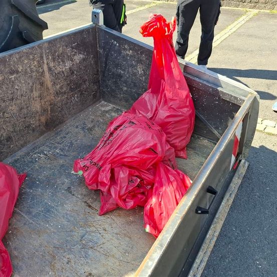 Ein Lastwagen mit einem Metallbett enthält mehrere rote Plastiktüten. Einige Leute stehen um den Lastwagen herum.