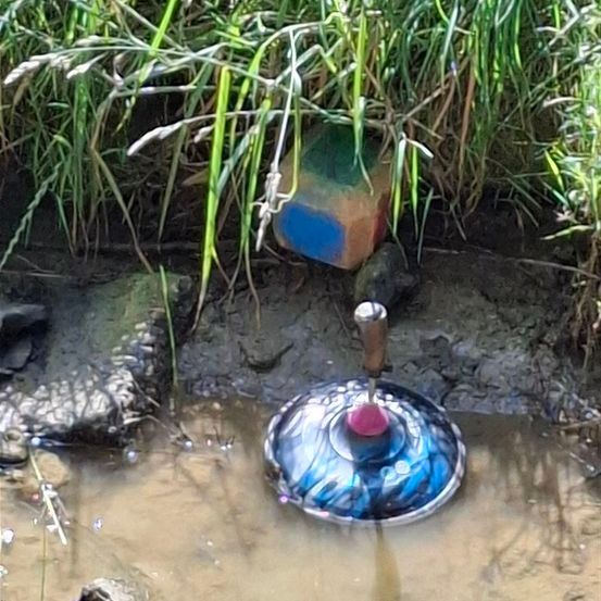Ein blau-rosafarbenes Drehspielzeug ruht in schlammigem Wasser, mit einem blau-grün bemalten Holzblock in der Nähe, umgeben von hohem Gras.