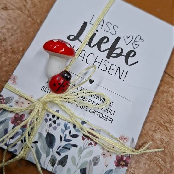 Eine Hochzeitseinladungskarte, die mit einem gelben Band gebunden und mit einem roten Pilz und Marienkäfer verziert ist, liegt auf einer Holzoberfläche.