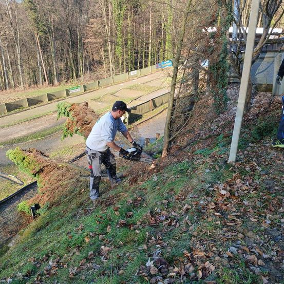 Ein Mann schneidet mit einer Kettensäge Äste auf einem Hang in der Nähe eines Waldes. Er ist in einem blauen Hemd und grauen Hosen gekleidet.