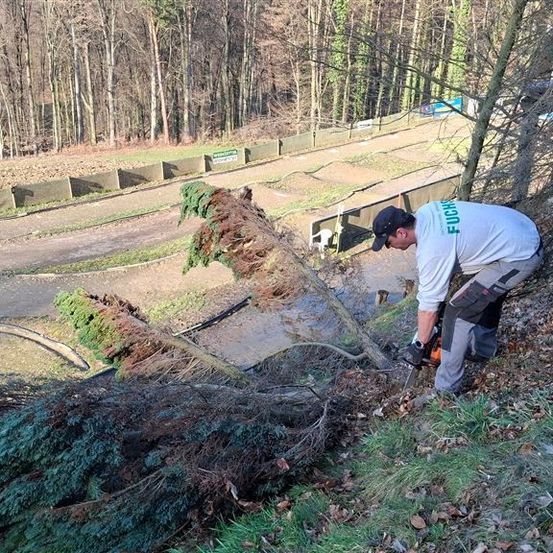 Ein Mann in einem weißen Shirt und Kappe benutzt eine Kettensäge, um einen umgestürzten Baum auf einem Hügel abzusägen.