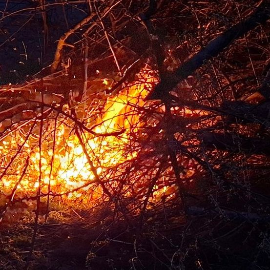 Ein Feuer brennt durch einen dichten Wald, wobei Äste und Zweige in der Nacht brennen.
