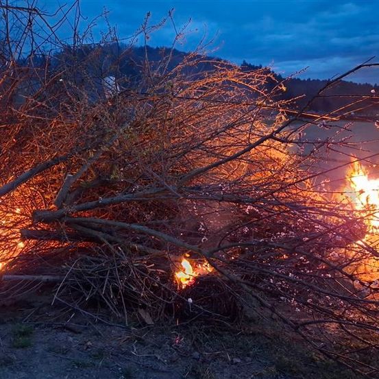 Ein Lagerfeuer brennt einen Haufen Äste am Abend. Im Hintergrund sind Bäume und Berge zu sehen.