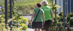 Bild enthält, Person, Walking, Potted Plant, Shorts, Garden, Planter, Skirt, Adult, Female, Woman