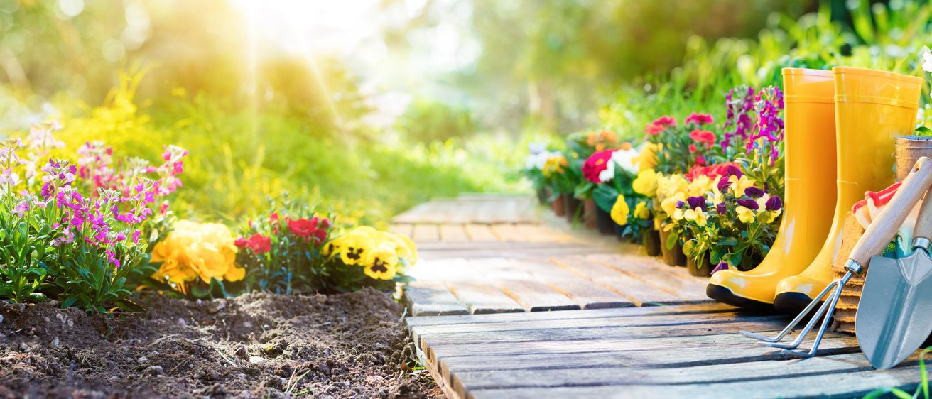 Ein Holzweg gesäumt von bunten Blumen und gelben Gummistiefeln. Der Garten ist hell bei Sonnenlicht.