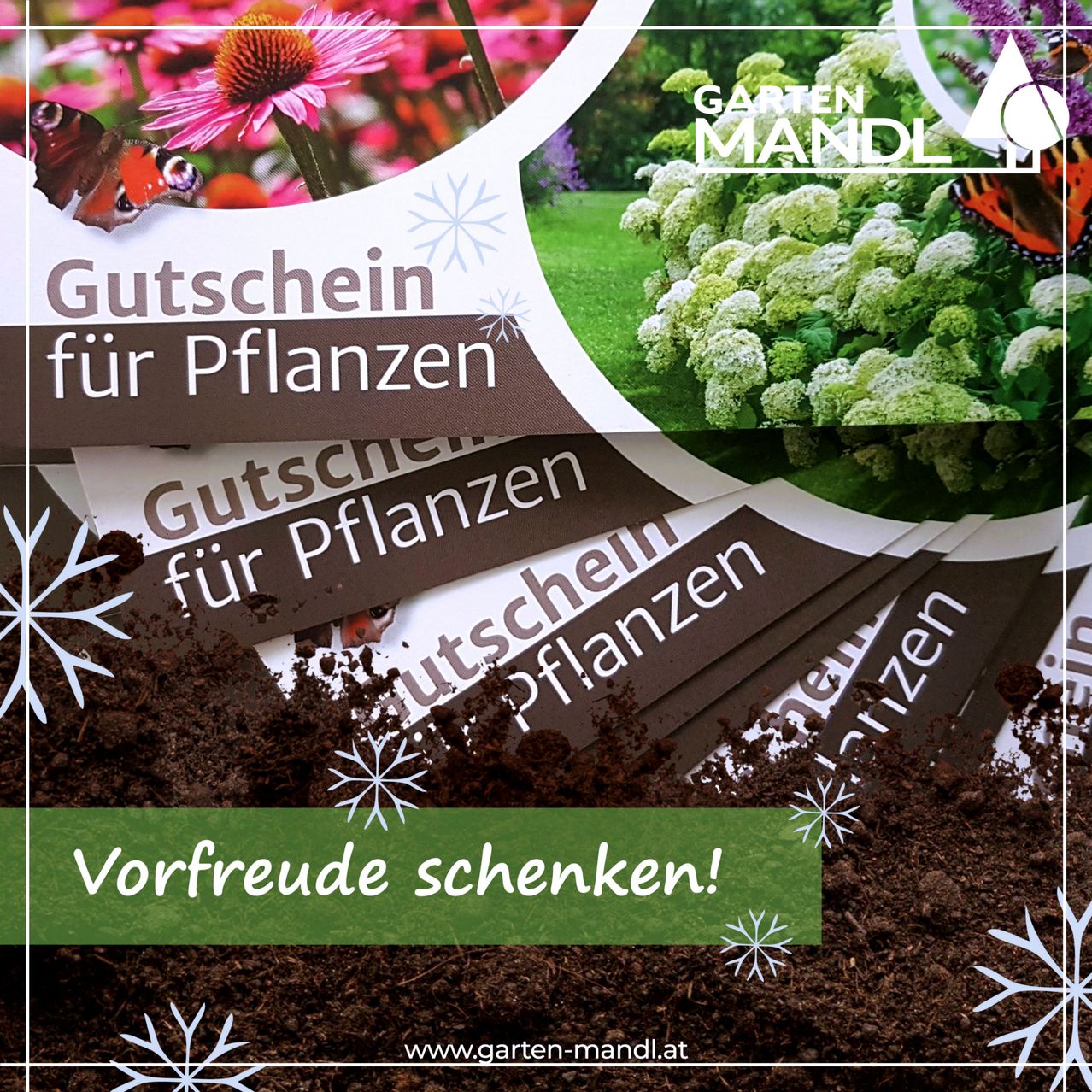 Eine Anzeige für einen Geschenkgutschein für Pflanzen. Der Gutschein zeigt verschiedene Pflanzen, Blumen und Schneeflocken. Es steht 'Gutschein für Pflanzen' und 'Vorfreude schenken!' Die Website lautet www.garten-mandl.at.