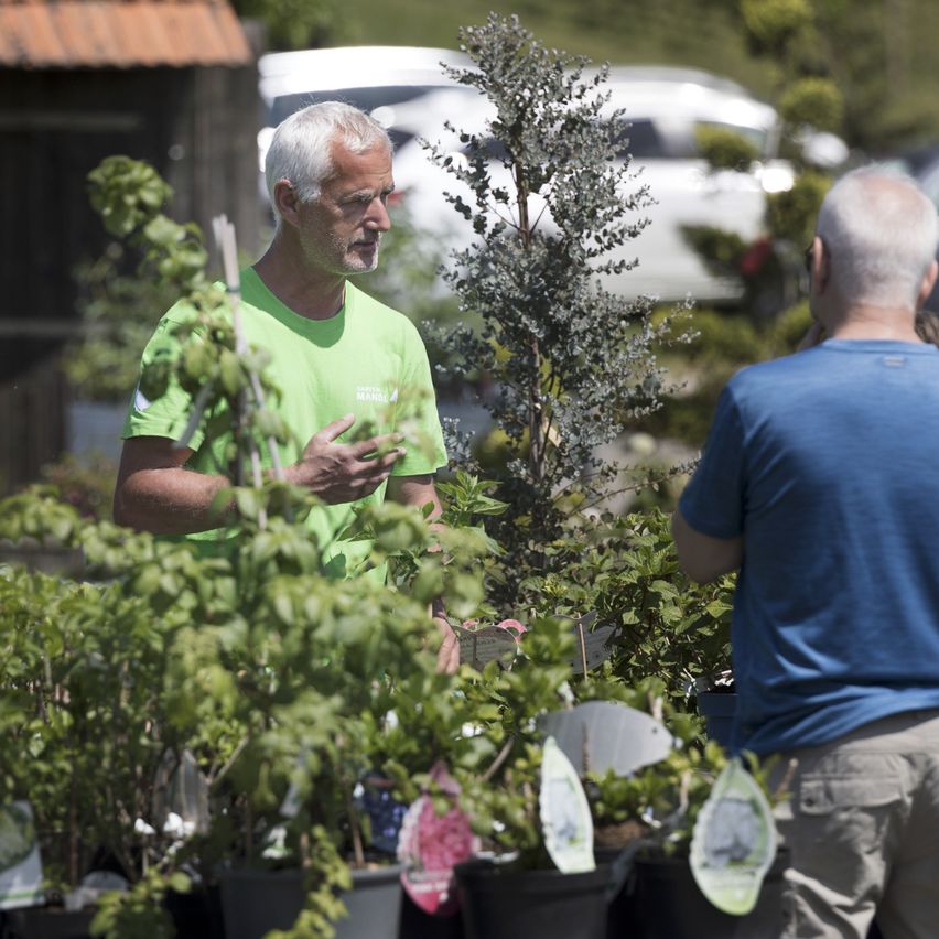 Zwei Männer in Freizeitkleidung stehen in einem Garten, einer in einem grünen T-Shirt und der andere in einem blauen T-Shirt. Sie sind von Topfpflanzen umgeben.