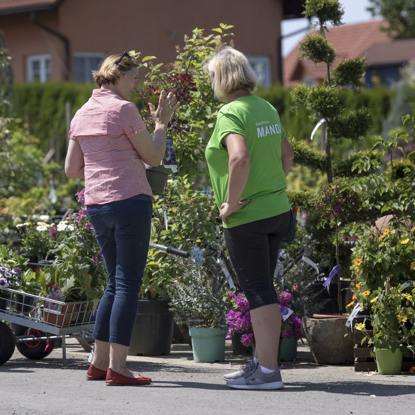 Zwei Frauen stehen in einem Garten, eine in einem rosa karierten Hemd und die andere in einem grünen Shirt mit dem Wort 'Garten'. Sie unterhalten sich und betrachten eine Pflanze. Es gibt viele Topfpflanzen um sie herum.