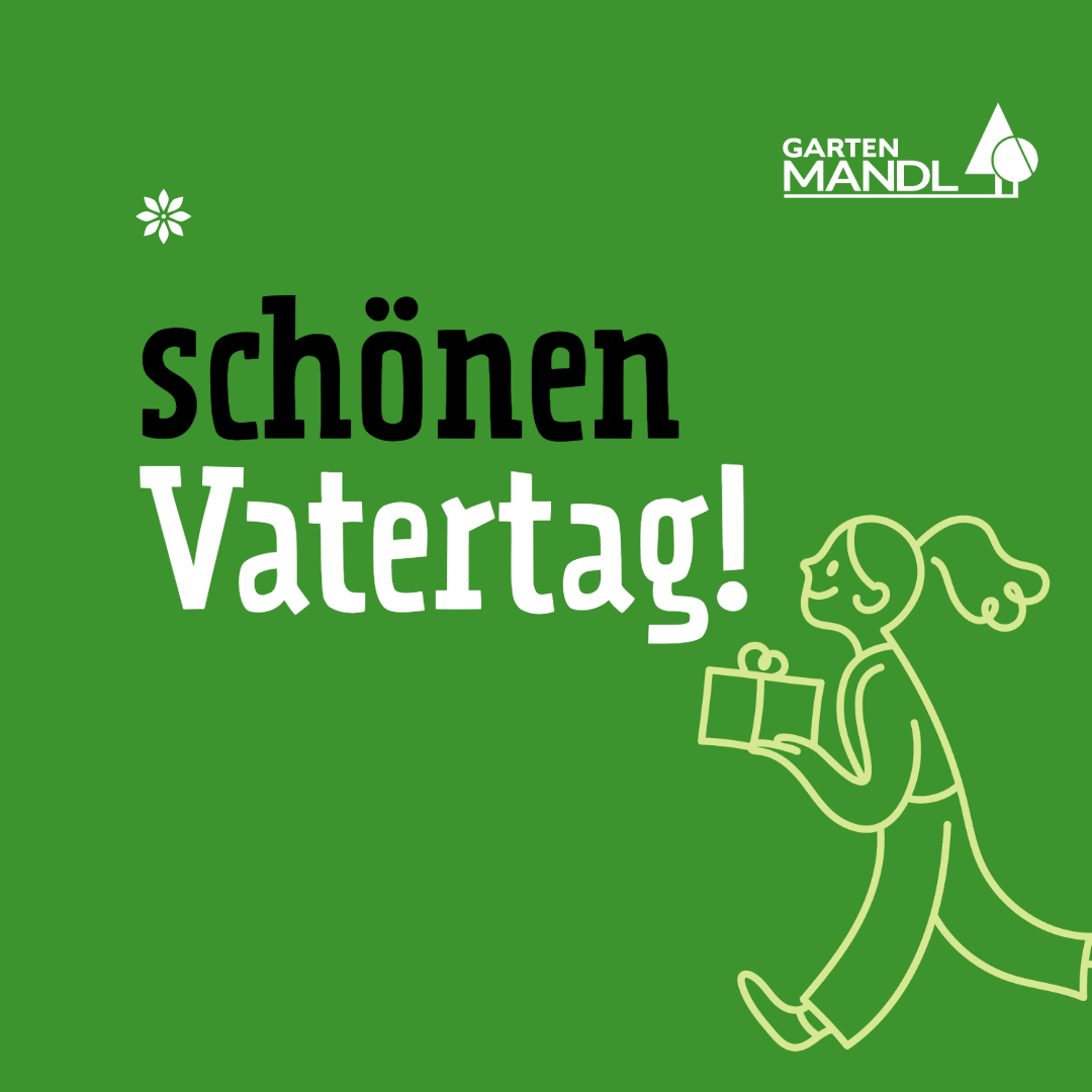 schnenvatertag2026---1080x1080
