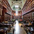 Book, Indoors, Library, Building, Adult, Female, Person, Woman, Restaurant, Chair