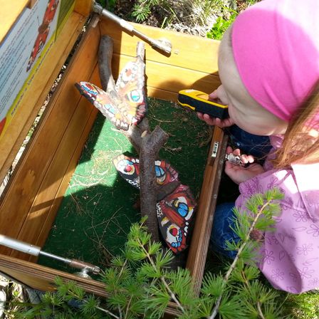 Ein kleines Mädchen schaut mit einer Lupe in eine Holzkiste und entdeckt bemalte Schmetterlinge auf Stöcken und einem grünen Teppich darin.