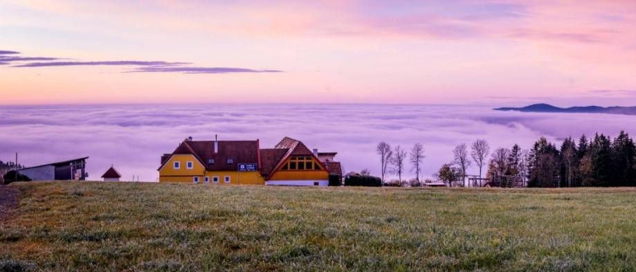 v1_migrated_image_60940059