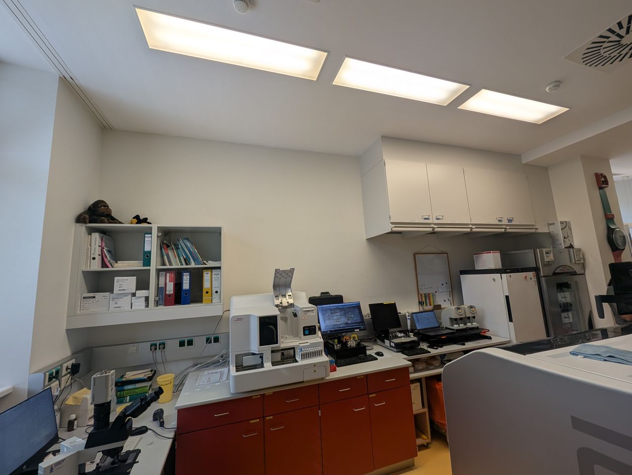 Ein Laborbereich mit weißen Wänden und Decke. Drei Lampen beleuchten den Raum. Ein Kühlschrank steht rechts. Ein Regal auf der linken Seite hat Bücher und Ordner. Ein Drucker steht rechts.