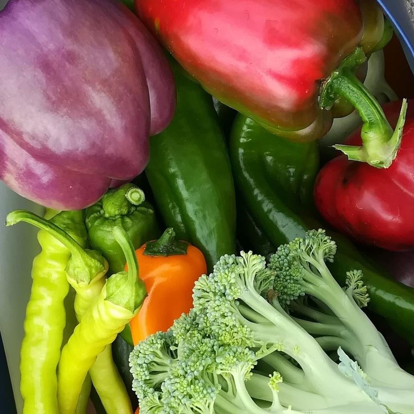 Bild enthält, Food, Produce, Fruit, Pear, Plant, Bell Pepper, Pepper, Vegetable