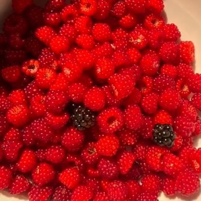 Bild enthält, Berry, Food, Fruit, Plant, Produce, Raspberry