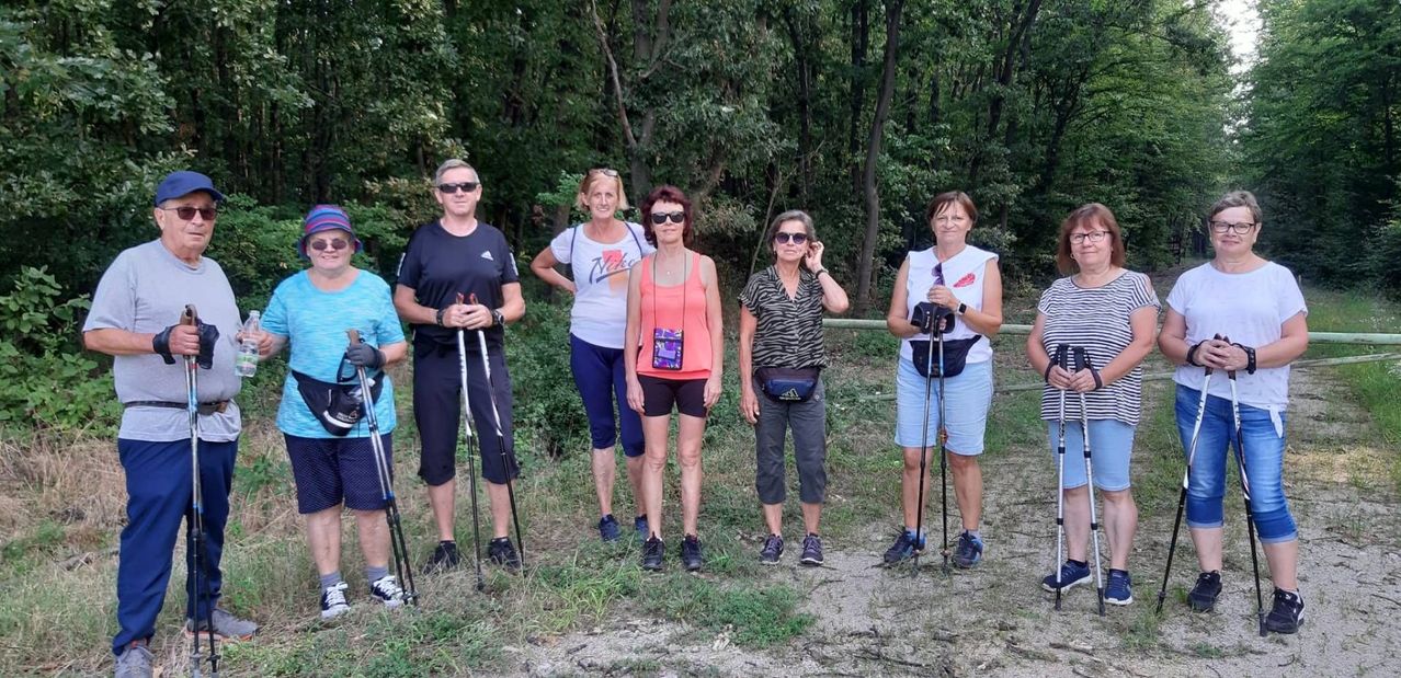 v1_migrated_image_58072943