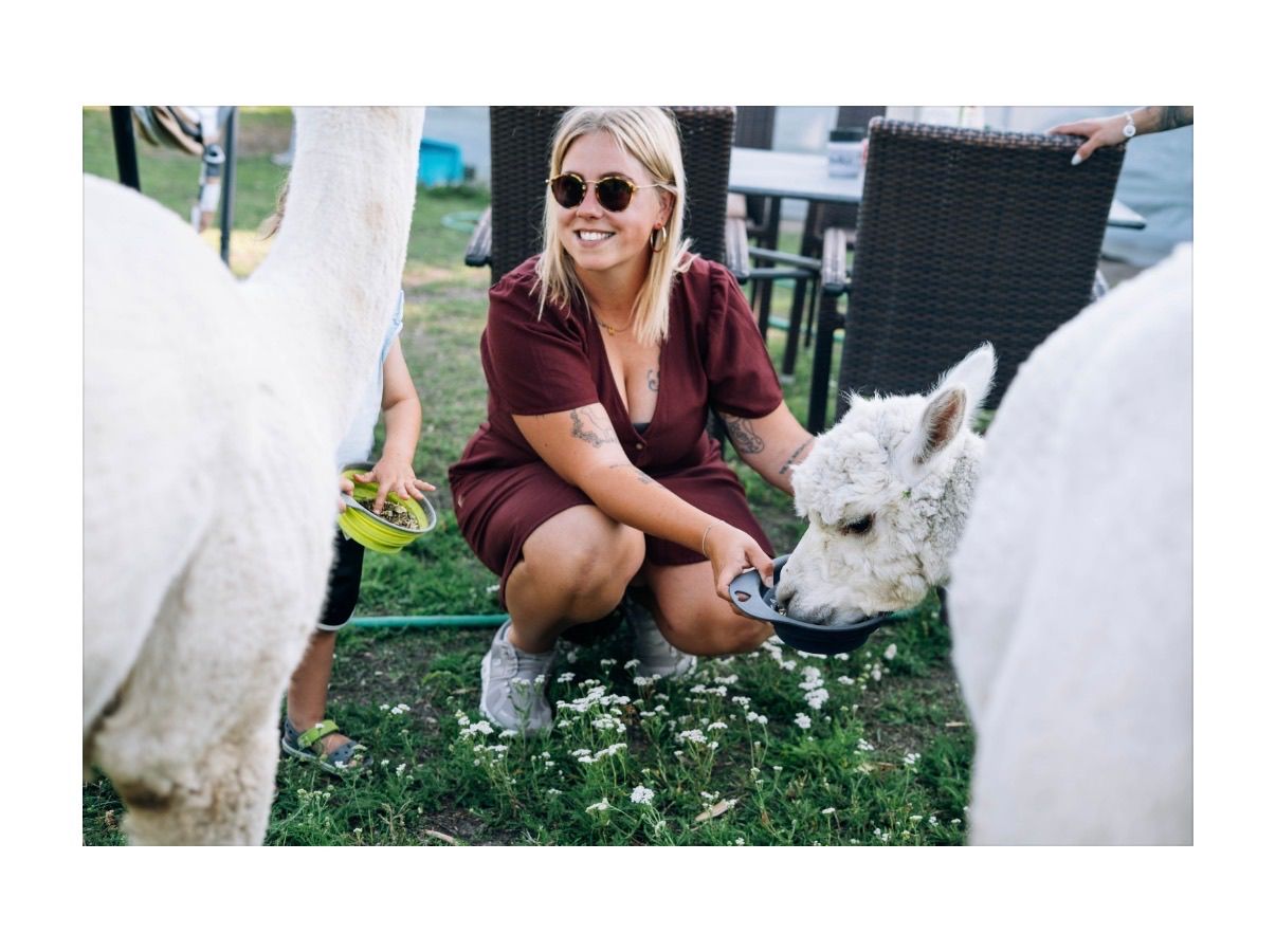 Eine Frau in einem weinroten Kleid füttert einen weißen Alpaka aus einer Schüssel, während sie auf dem Gras mit einem Kind in der Nähe sitzt.