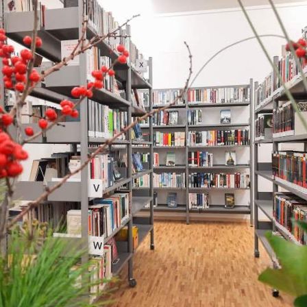 Bild enthält, Furniture, Bookcase, Book, Indoors, Library, Publication