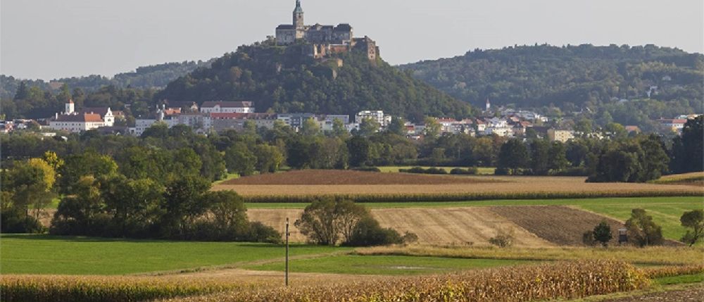 Erholung pur bieten, die 600 Meter vom Stadtzentrum entfernten, Niedrigenergiehäuser von  DAN-WOOD, welche eingebettet in die wunderschöne Landschaft fernab vom Stadttrubel, entstehen.  Schnellentschlossene können sich noch den schönsten Platz, den der malerische Burgblick bietet, für sich beanspruchen!  Auch der Badespaß für die ganze Familie, im Freibad Güssing, liegt ganz nah!