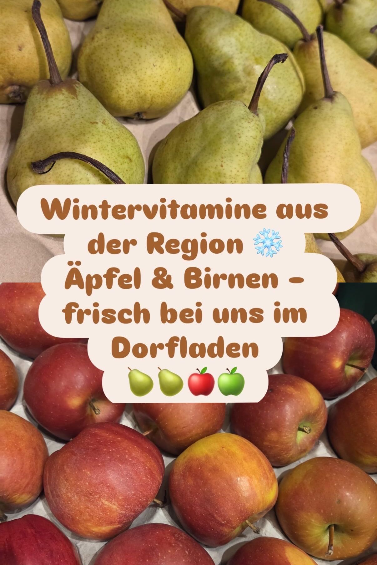A collection of pears and apples with a sign in German that says Winter vitamins from the region, apples and pears fresh at us in Dorfladen.