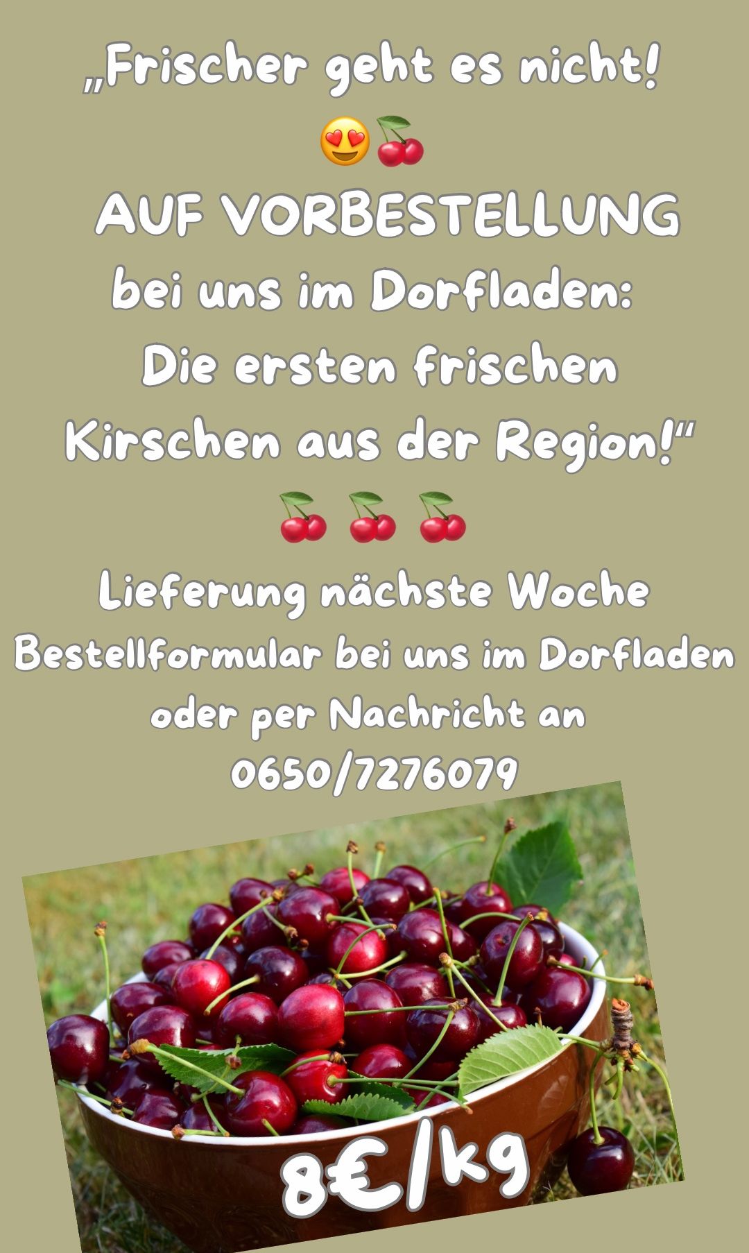 An advertisement for fresh cherries from the region, delivered next week. Contact Dorfladen or call 0650/7276079 for orders.