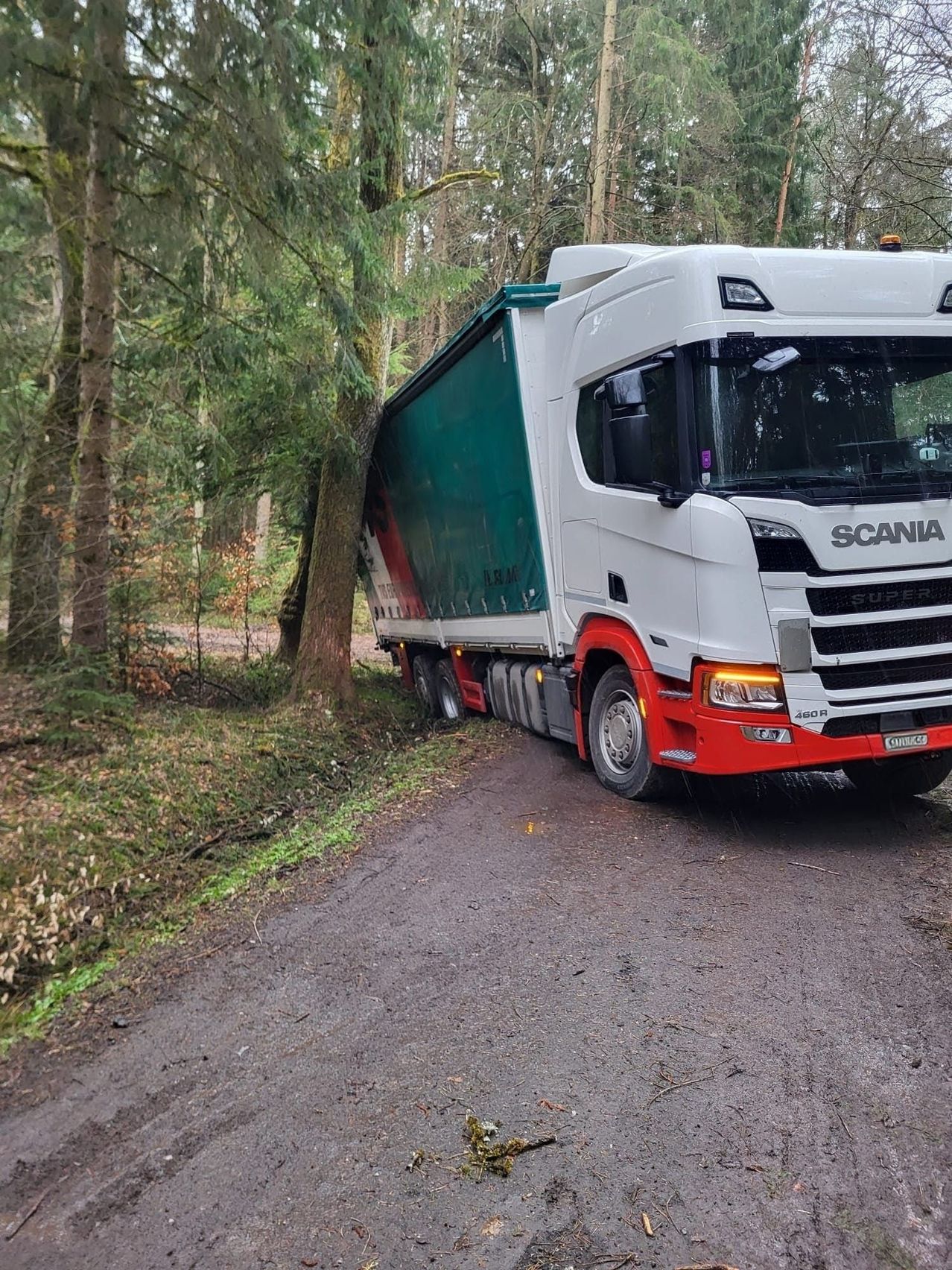 Ein weißer und roter Scania-Lkw mit grünem Anhänger steht auf einer unbefestigten Straße, möglicherweise nach einem Unfall. Der Anhänger lehnt sich gegen einen Baum, und der Baum hat abgebrochene Äste.