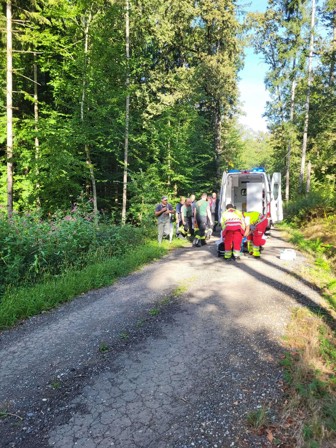 Rettungskräfte in roten Uniformen kümmern sich um eine Person auf einem Waldweg. Ein Krankenwagen ist in der Nähe geparkt.