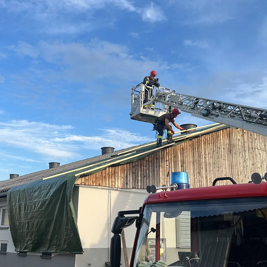 Zwei Feuerwehrleute stehen auf einer Leiter auf dem Dach eines Gebäudes, einer hält einen Schlauch und der andere steht auf dem Dach. Ein roter Feuerwehrwagen ist vor dem Gebäude geparkt.