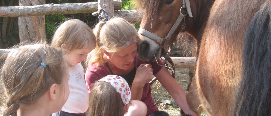 Eine Frau und vier Kinder streicheln ein Pferd und einen Hund in einem eingezäunten Bereich. Das Pferd ist braun und der Hund schwarz.