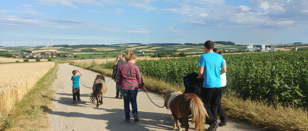 Eine vierköpfige Familie geht mit zwei kleinen Pferden auf einem Landweg mit Feldern und Windturbinen in der Ferne.