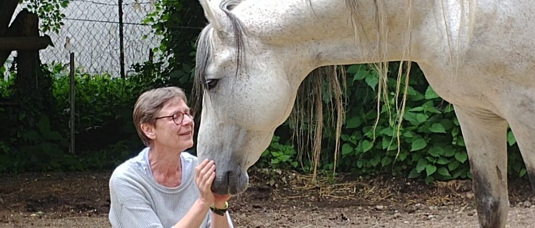 Eine ältere Frau mit Brille sitzt und lächelt, während sie ein weißes Pferd mit schwarzem Mähnen streichelt. Das Pferd schaut sie an.
