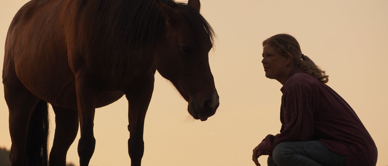 Eine Frau kniet neben einem braunen Pferd bei Sonnenuntergang. Die Frau lächelt und das Pferd schaut sie an.