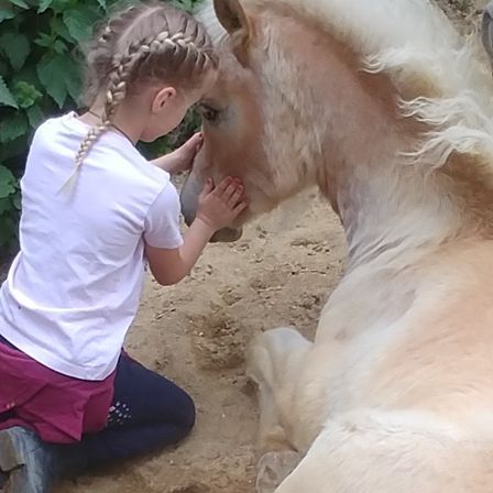 Ein junges Mädchen mit geflochtenen Haaren kniet neben einem weißen Pferd und berührt sanft dessen Gesicht. Sie sind von Pflanzen umgeben.