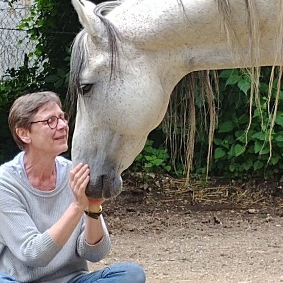Eine ältere Frau mit Brille sitzt auf dem Boden und schaut ein weißes Pferd an. Das Pferd steht ihr nahe und sie schauen sich gegenseitig an. Das Gebiet ist von grünen Pflanzen umgeben.