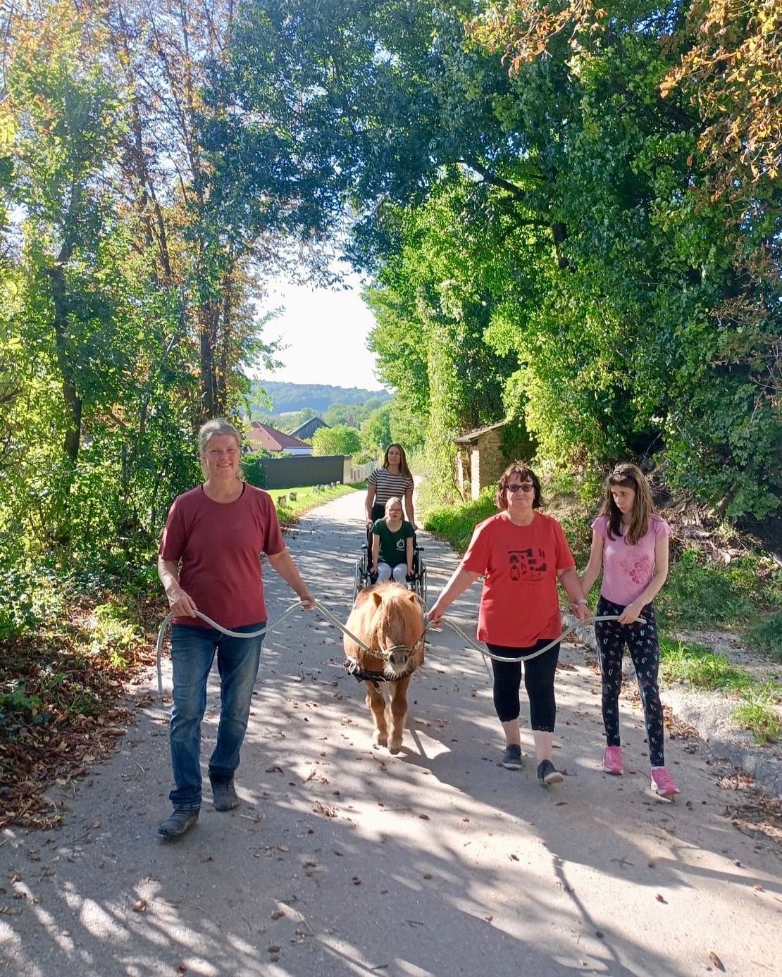 Fünf Menschen gehen mit einem kleinen Pony auf einem Feldweg. Eine Frau im Rollstuhl ist in der Mitte. Drei Personen halten das Seil des Ponys.